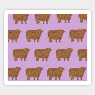 Amazing Highland Cow Sticker